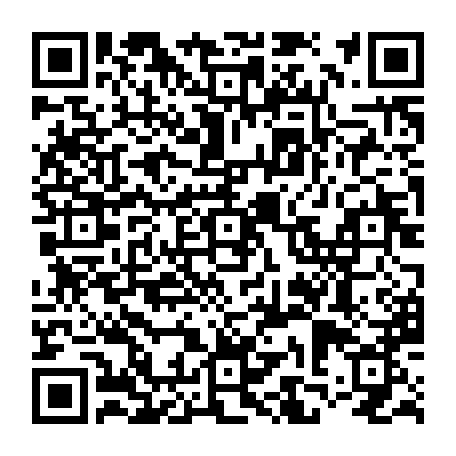 QR-код с номером телефона +73812904505