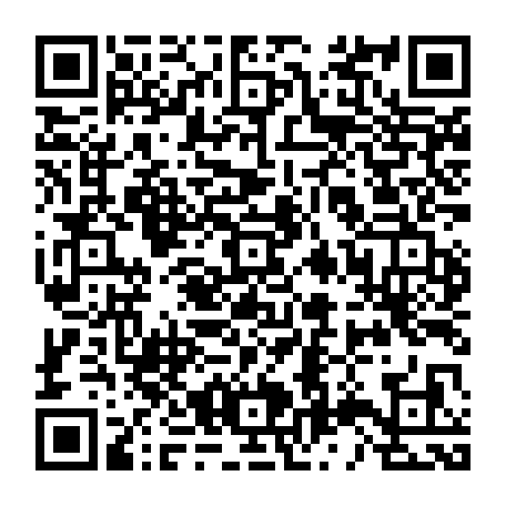 QR-код с номером телефона +74964113246