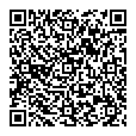 QR-код с номером телефона +74994085534