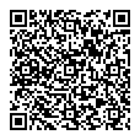 QR-код с номером телефона +74995004513