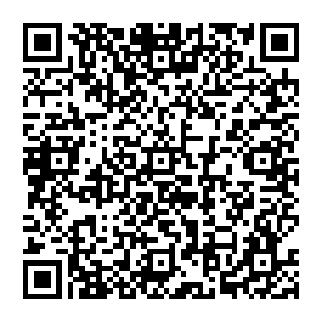 QR-код с номером телефона +74996095633