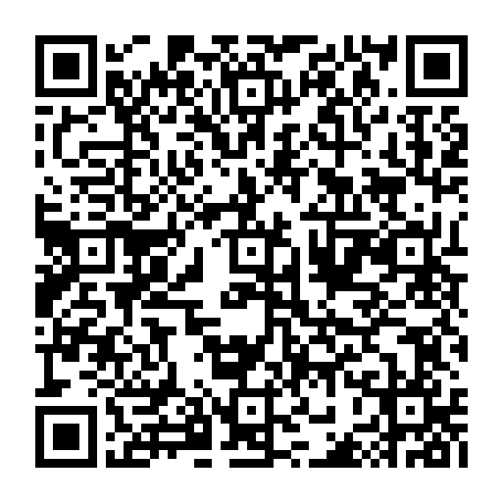 QR-код с номером телефона +78123303813