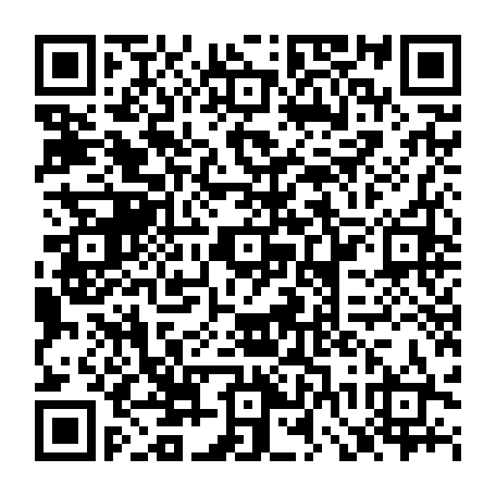 QR-код с номером телефона +78136290653