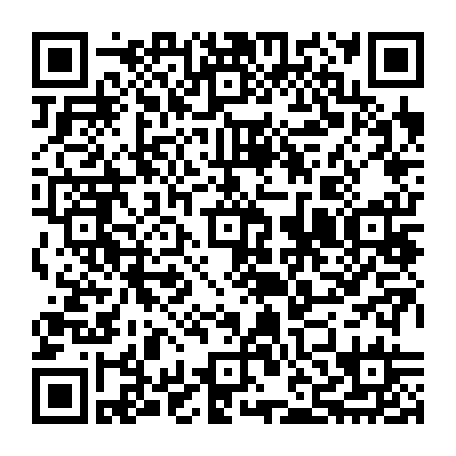 QR-код с номером телефона +79009133263