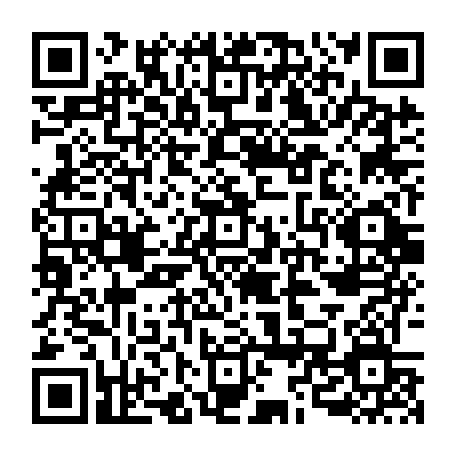 QR-код с номером телефона +79655909510