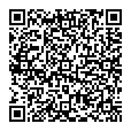 QR-код с номером телефона +79850100110